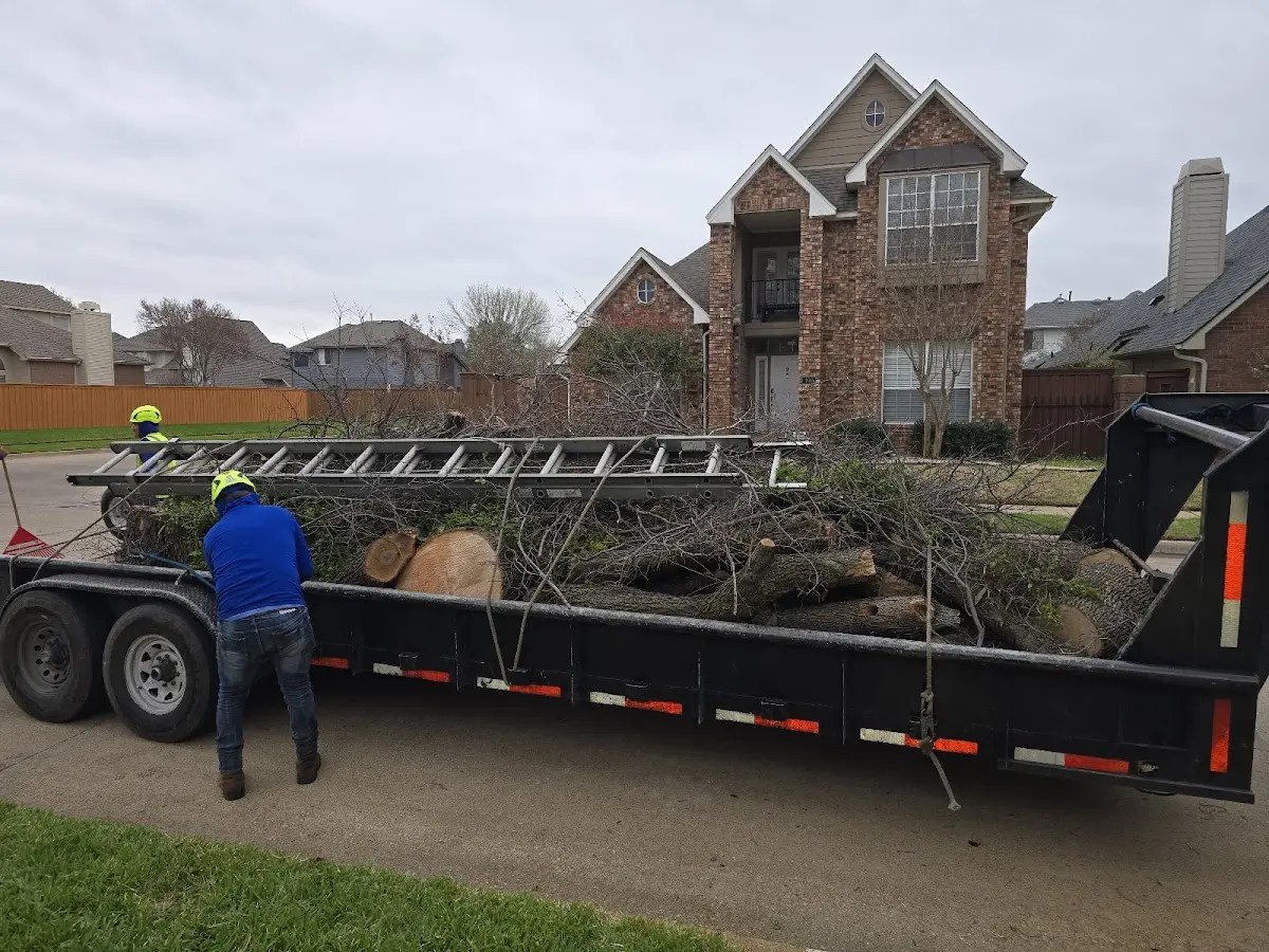 Expert Tree Fertilization with proper safety equipment in Baker City